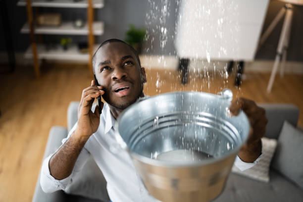 Best Water damage restoration near me  in Severance, CO