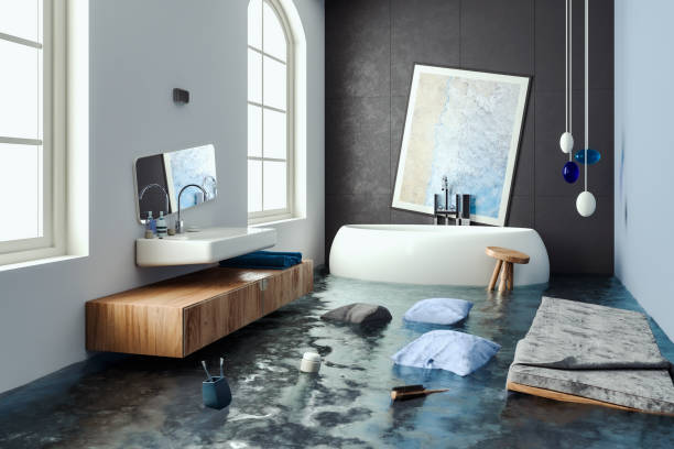 Best Professional water damage repair  in Severance, CO