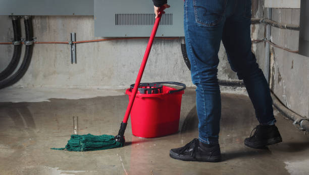 Best Water damage restoration cost  in Severance, CO