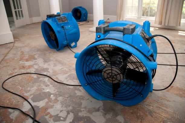Best Water damage contractors near me  in Severance, CO
