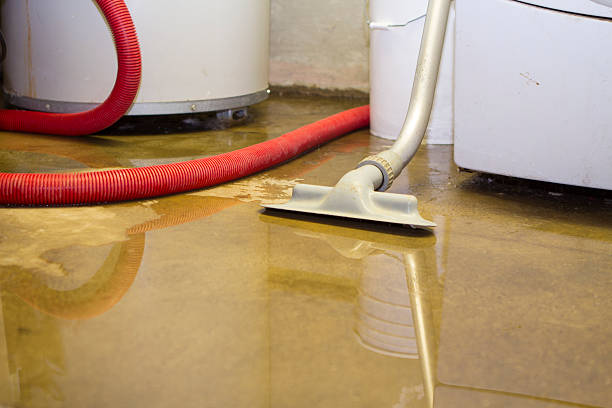 Best Water damage cleanup near me  in Severance, CO
