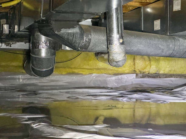 Best Residential water damage restoration  in Severance, CO