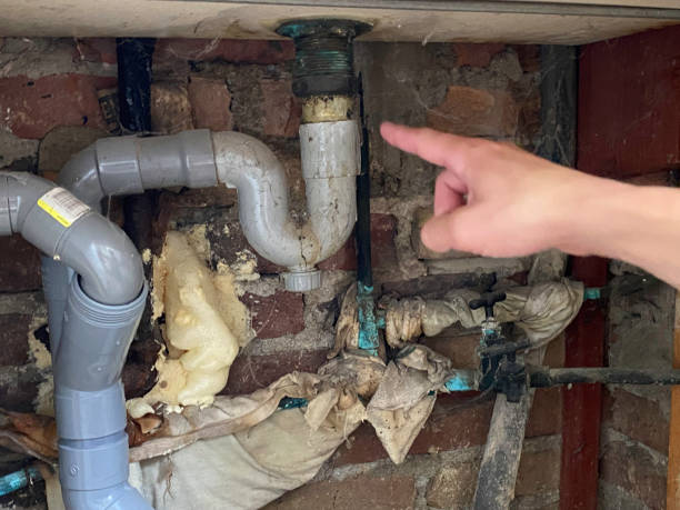 Best Carpet water damage restoration  in Severance, CO